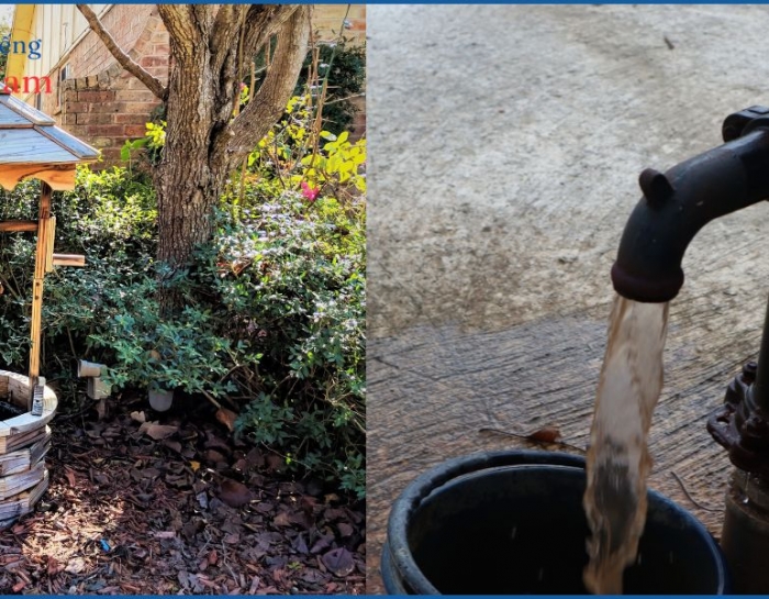 Những dấu hiệu giếng khoan có nước